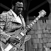 Artist Freddie King